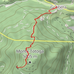 thumbnail for Strada forestale Totoga