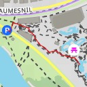 thumbnail for Otarie à crinière - Route de la Ceinture du Lac Daumesnil - Paris