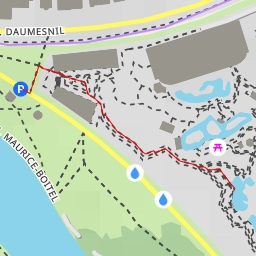 thumbnail for Otarie à crinière - Route de la Ceinture du Lac Daumesnil - Paris