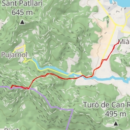 thumbnail for Puig Rodó