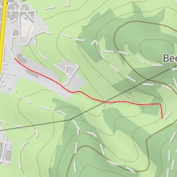 thumbnail for Karl-Arras-Eiche - Reichelsheim (Odenwald)