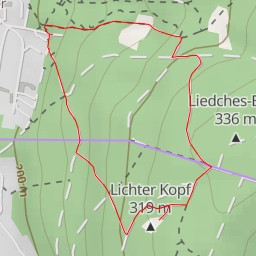 thumbnail for Lichter Kopf