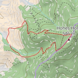 thumbnail for Hohes Horn Turm