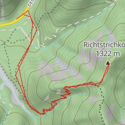 thumbnail for Richtstrichkopf