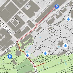 thumbnail for Jardin de l'École de botanique - Allée Alfred Lacroix - Paris