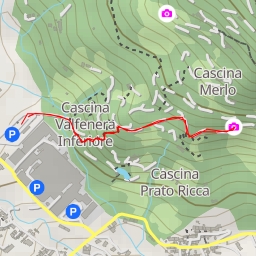 thumbnail for Viale dei Liriodendri