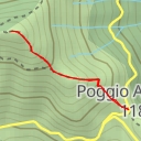 thumbnail for Monte Grande