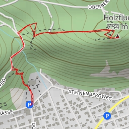 thumbnail for Holzfluh