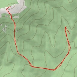 thumbnail for Туманная