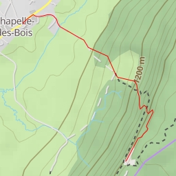 thumbnail for Roche Champion