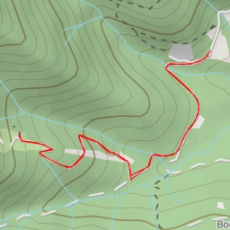 thumbnail for Quattro passi nel bosco