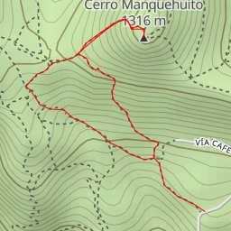 thumbnail for Cerro Manquehuito