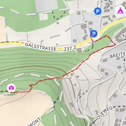 thumbnail for Wildsauwegli