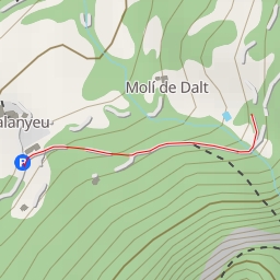 thumbnail for Camí del Graell