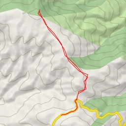 thumbnail for Zomin Tumani