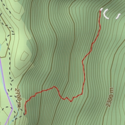 thumbnail for Dzükou Valley road