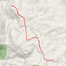 thumbnail for Sunshine Coast Hinterland Great Walk - Sunshine Coast Regional