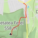 thumbnail for traseu ruine Cetatea Fetei