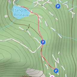 thumbnail for Étang des Roseaux