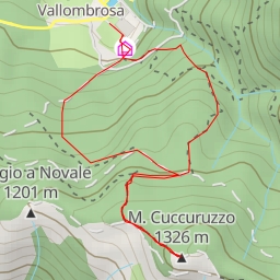 thumbnail for M. Cuccuruzzo