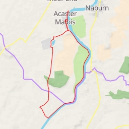 thumbnail for Acaster Selby