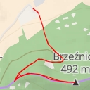 thumbnail for Brzeźnica