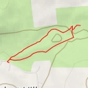 thumbnail for Pine Forest Trail - Pine Forest Trail