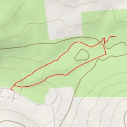 thumbnail for Pine Forest Trail - Pine Forest Trail