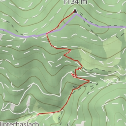 thumbnail for Braunhörnle