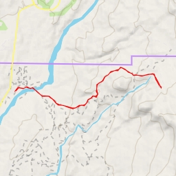 thumbnail for Deer Park Tank - Deer Park Tank