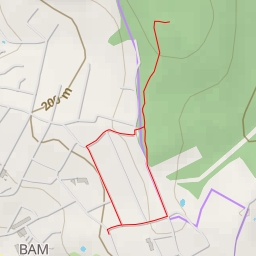 thumbnail for Янтарна вулиця - Янтарна вулиця - Ужгород