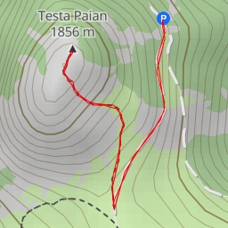 thumbnail for Testa Paian