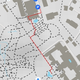 thumbnail for Botanischer Garten - Englerallee - Berlin