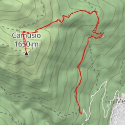 thumbnail for Camusio