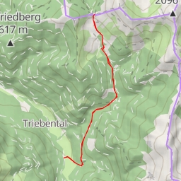 thumbnail for Moartörl