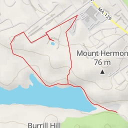 thumbnail for Joel Circle - Lynn