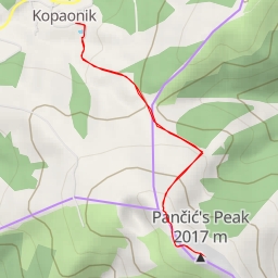 thumbnail for Панчићев врх