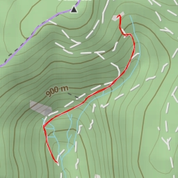 thumbnail for Route forestière du vieil étang