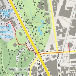 thumbnail for Duck and Waterfowl