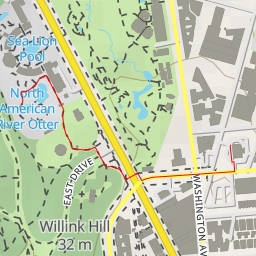 thumbnail for North American River Otter