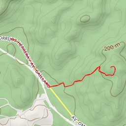 thumbnail for Canopy Tower