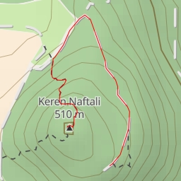 thumbnail for קרן נפתלי