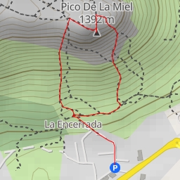 thumbnail for Pico De La Miel