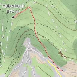 thumbnail for Haberkopf