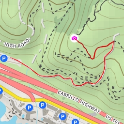 thumbnail for Lone Oak