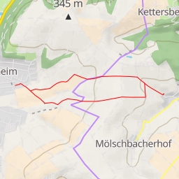 thumbnail for Raulenstein