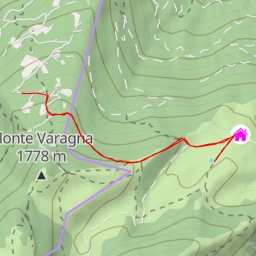 thumbnail for Strada forestale Malga Bordina