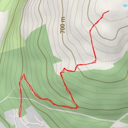 thumbnail for Queenstown Hill Walkway - Queenstown Hill Walkway