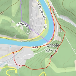 thumbnail for Homole