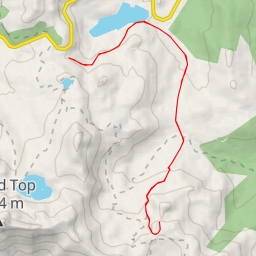 thumbnail for Forestdale Road - Forestdale Road